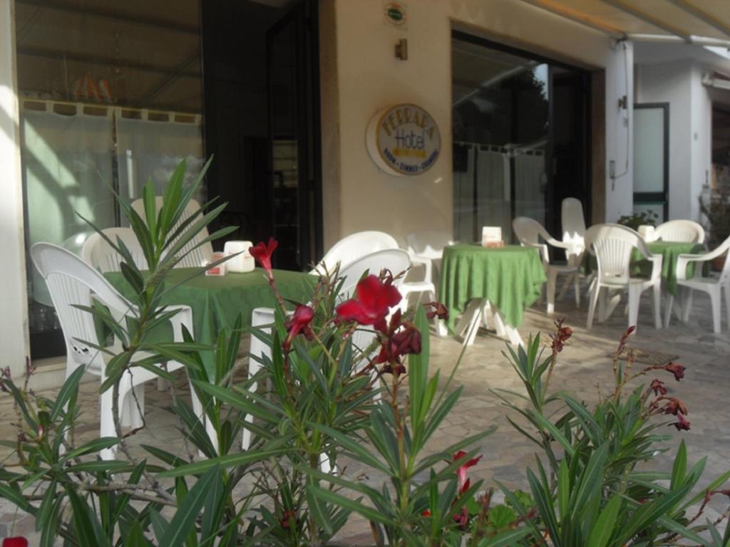Hotel Ferrara San Benedetto del Tronto Dış mekan fotoğraf